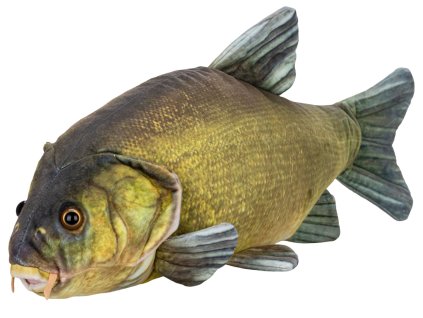 Lín plyšový 50 cm